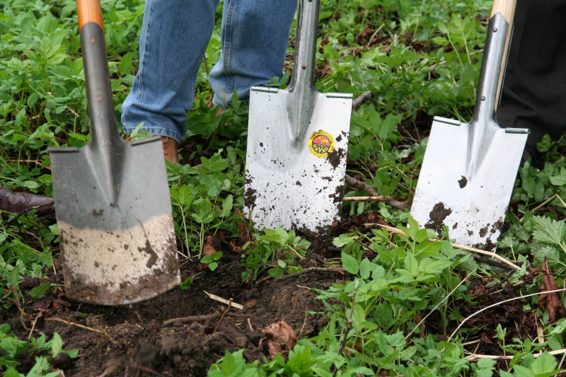 pepiniere-CASTAGNIERS-min_work-lawn-flower-tool-green-backyard-1103633-pxhere.com